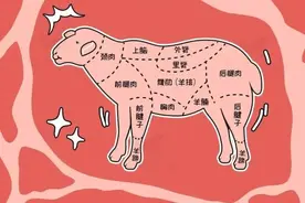 羊的这些部位千万不要食用！图片