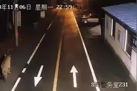 东北虎下山“夜游” 主打一个自在闲适图片