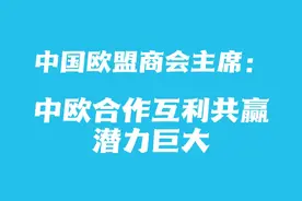 中国欧盟商会主席：中欧合作互利共赢 潜力巨大图片