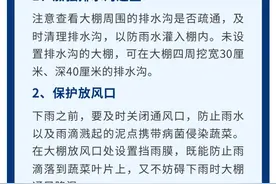 专家支招设施蔬菜防灾减灾图片