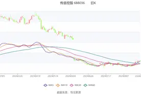 传音控股：2024年上半年净利润同比增长35.71% 拟10派15元图片