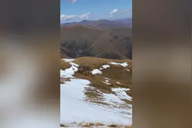 巡山偶遇百余只白唇鹿沿山脉奔腾 超壮观图片