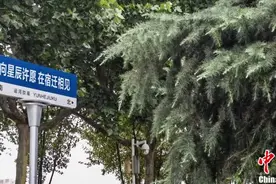 何以中国·运载千秋丨运河迢迢，宿迁岁月光辉图片