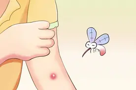 美好生活＋丨你是招蚊子体质吗？收好这份夏季防蚊攻略图片