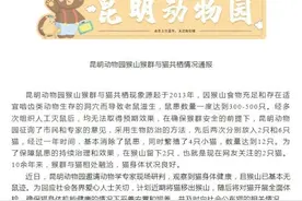 昆明动物园猴山内2只猫疑似被猴群欺负？官方回应图片