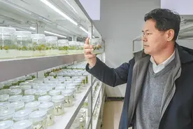 十年十记 瓣瓣同心 | 一条潮白河，三地荡清波图片