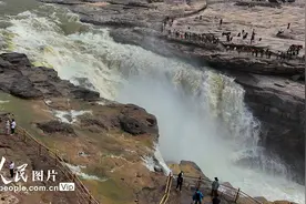 陕西壶口：出现“清流飞瀑”景观图片