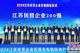 2024江苏民营企业百强出炉 企业规模稳步向上图片