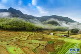 长三角见闻：农旅融合 乡村蝶变引客来图片