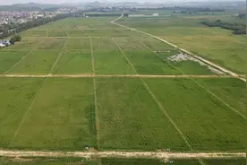 广东支持5地开展耕地集中连片整治试点工作图片
