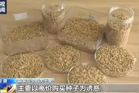 盘点：2024年全球窃密泄密事件图片
