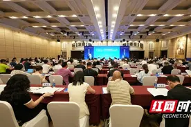 第二站启幕！益阳高新区“双招双引”走进粤港澳大湾区图片