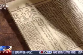 文化中国行丨珍稀中药材回归+1 来看九牛草的“前世今生”图片