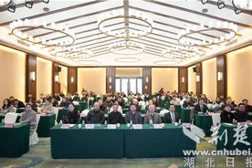 襄阳市中心医院成功举办第五届隆中影像论坛图片