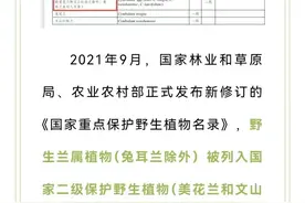 【以案说法】进山带走野生兰草？下场是……图片