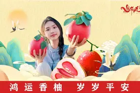 好玩有趣！2025年玉林“佼佼街”即将开街！图片