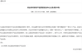 阳春圭岗氹仔鱼入选全国名特优新农产品图片