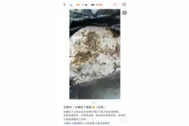 网友称在威海海边捡到疑似龙涎香，价值超800万元？业内人士：需鉴定图片