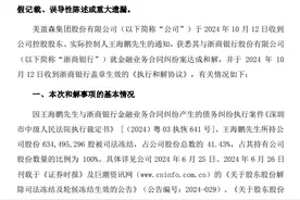 10亿纠纷达和解难消回款疑虑，浙商银行不良贷款飙升、罚单不断图片