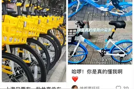 上海街头出现一批“无锁”共享单车？手机操作直接走→图片