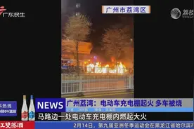 广州荔湾：电动车充电棚起火 多车被烧视频封面