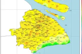 28℃！上海史上最热3月初诞生，大回暖即将反转，倒春寒来了？图片
