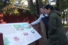 岁月古树展新颜 文化生态共和谐——东城区地坛公园古树保护示范区域顺利竣工图片