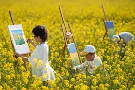 运城：油菜花开，春景如画图片