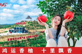 中学门口，惊现这一幕！官方通报图片