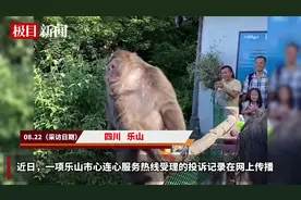 游客在峨眉山没看到猴子，当场打市民热线要求必须看到猴子？景区回应图片