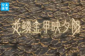 南极行记丨“龙抬头” 南极归途遇到了最美的海冰图片