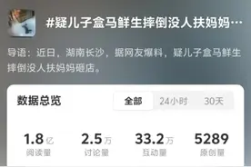 男孩奔跑后摔倒没人扶，母亲愤怒砸店？盒马回应图片