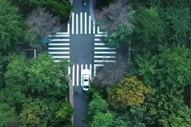 育种人生丨徐冉：让盐碱地长出高产大豆图片