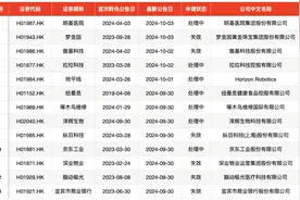 IPO周报｜上周1新股首日暴涨1704%，今日迎1只新股申购图片