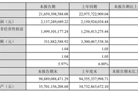亿纬锂能“七折”股权激励遭质疑 准货币资金150亿元仍喊“缺钱”计划再融资图片
