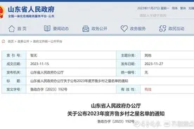 794人上榜！2023年度齐鲁乡村之星名单公布图片