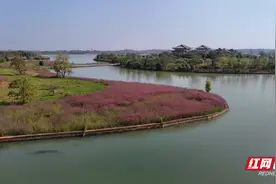 逐梦幸福河湖｜ 从“丑小鸭”到“白天鹅” 松雅湖华丽转身靠啥图片