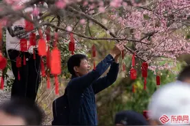 【八闽“烟火气”】龙腾鼓山 “梅”好福地 福州鼓山梅花文化节开幕图片