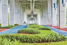 深中通道附近有哪些热门公园、绿道？这份攻略带你玩转千园之城图片
