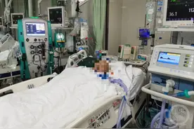 70岁大爷遭群蜂蜇伤送医！专家提醒……图片