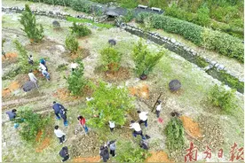 阳山高质量发展成效凸显图片