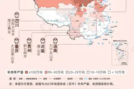 立冬“羊”气版图热乎出锅！带你寻找中国最好吃的羊肉图片