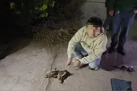 两男子因嘴馋用气枪猎杀野生“竹鸡”被民警现场挡获，被采取刑事强制措施图片