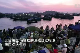 广东茂名：南海捕鱼归 渔港早市忙图片