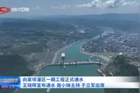 向家坝灌区一期工程正式通水 王晓晖宣布通水 施小琳主持 于立军出席图片