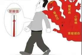 高尿酸应如何健康管理？松江医生为您解答丨健康智慧屋图片