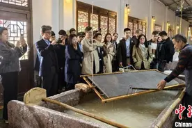 12国外宾走进四川乐山 共话友谊和发展图片