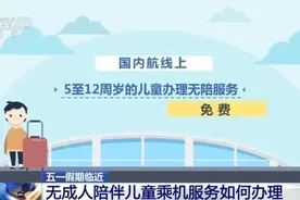 “五一”将至 无成人陪伴儿童如何乘机？攻略来了图片