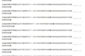 2017—2021年农村电网中央预算内结余资金安排项目可行性研究报告的批复图片