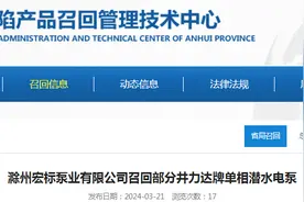 滁州宏标泵业有限公司召回部分井力达牌单相潜水电泵图片